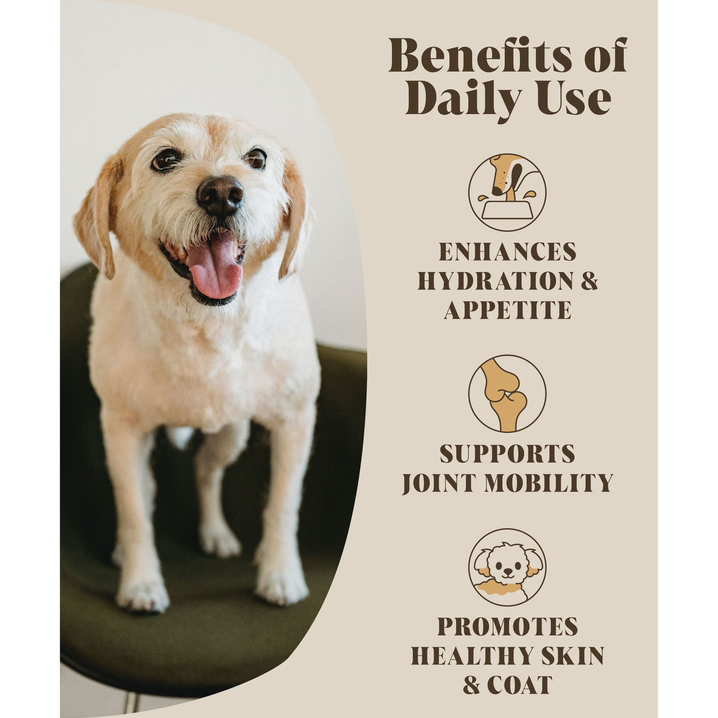 Bone Broth for Dogs | Dog Gravy Food Topper for Picky Eaters