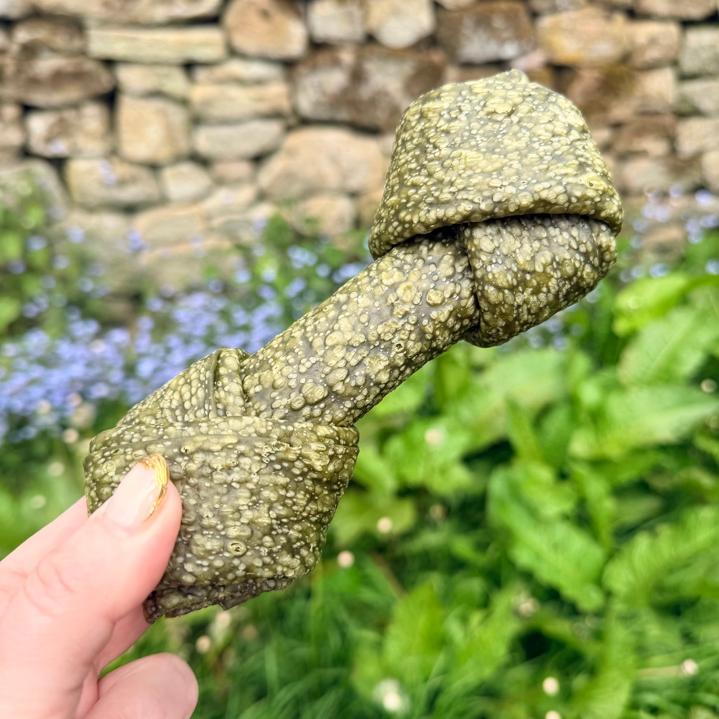 Veggie giant bone