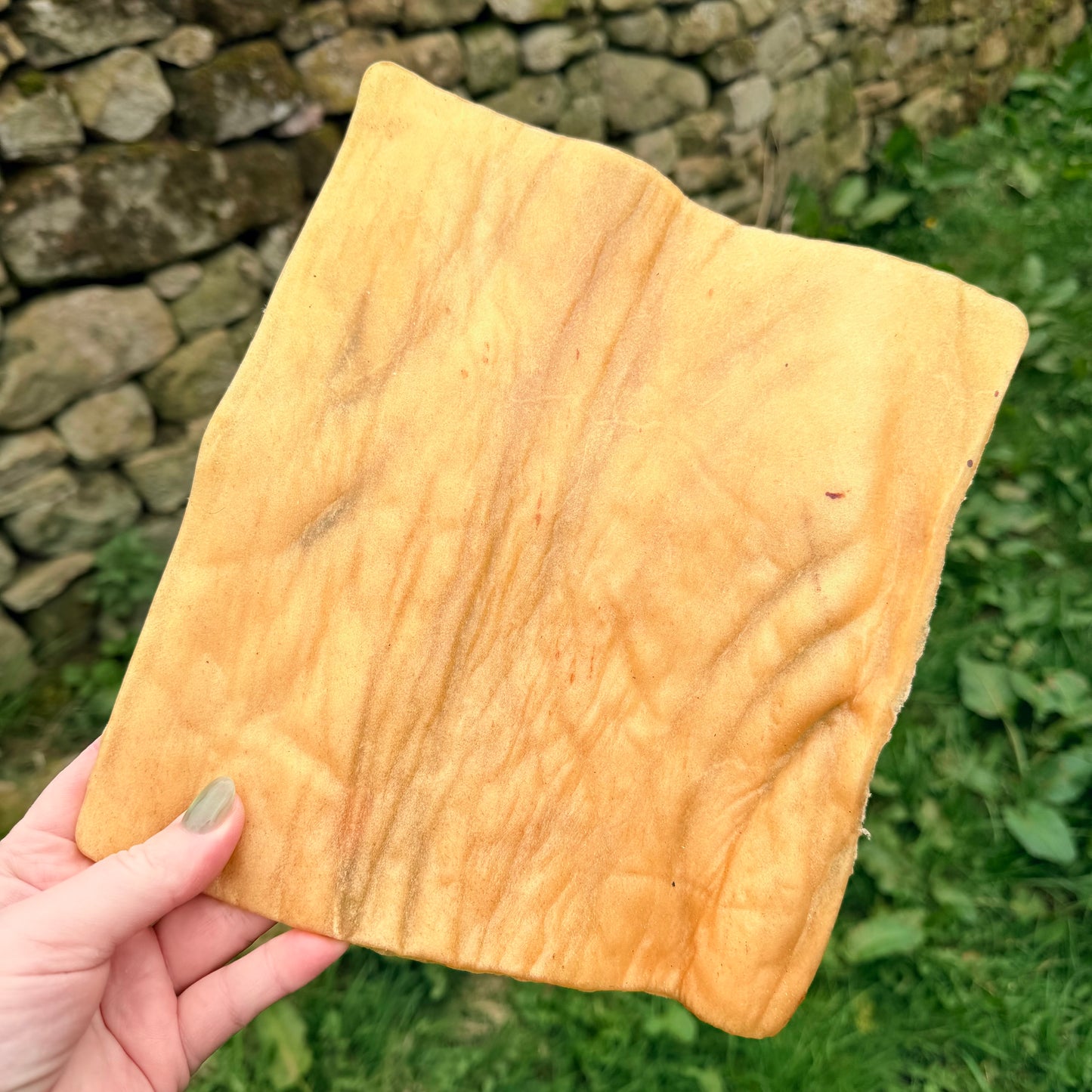 Buffalo skin plates