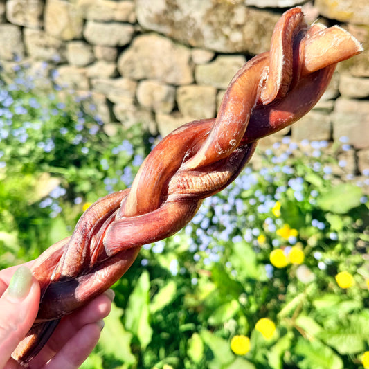 Braided bully pizzle