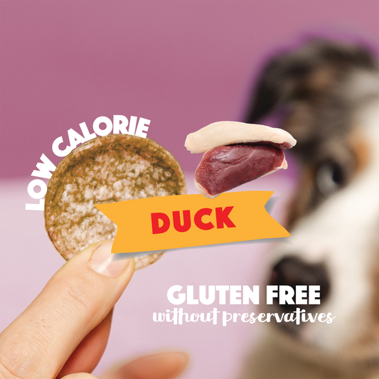 Duck Dog Crisps