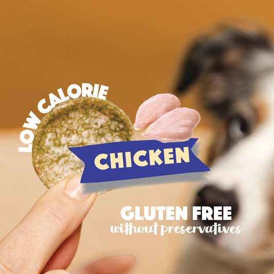 Chicken Dog Crisps