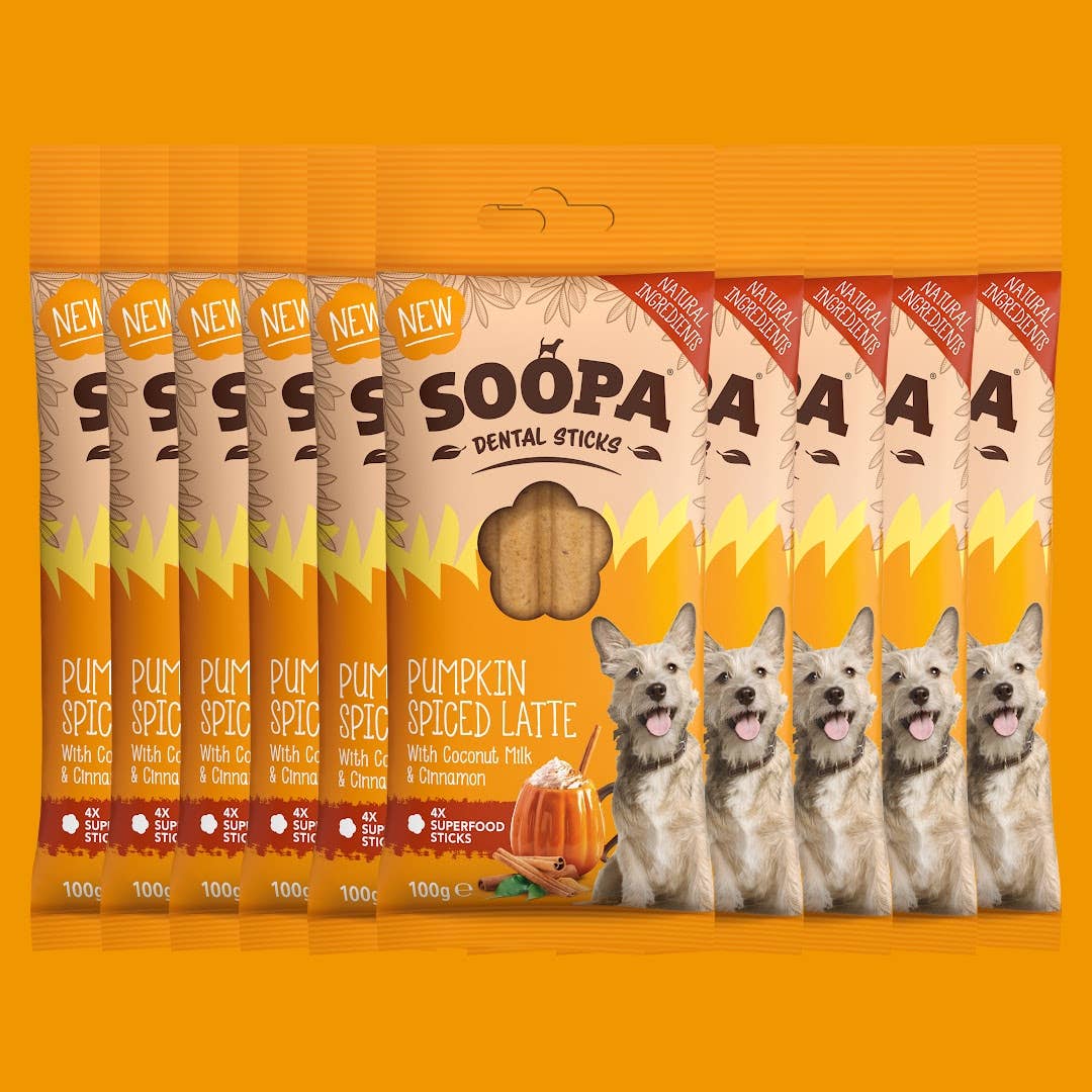 Pumpkin Spiced Latte Dog Dental Sticks: Single Pack