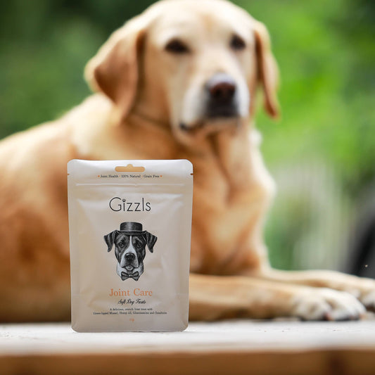 Gizzls Joint Care Soft Dog Treats