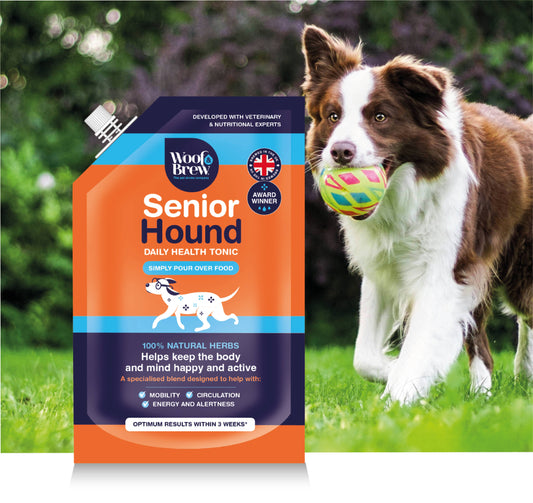 Senior Hound Joint Care 300ml