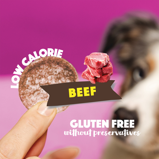 Beef Dog Crisps