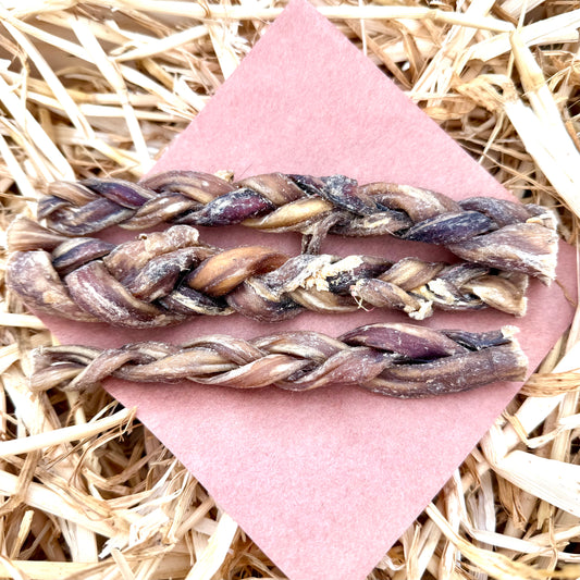 Buffalo Pizzle Braid