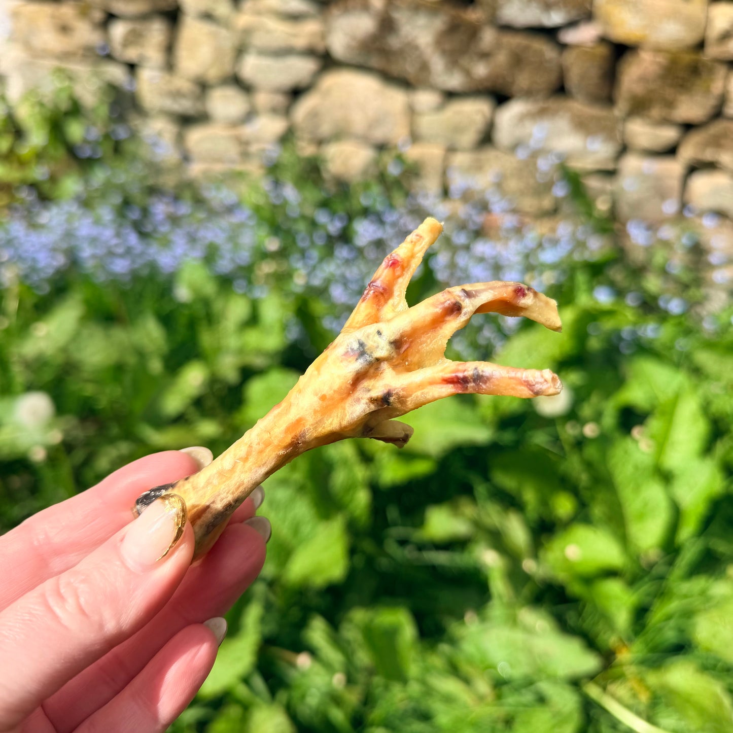 Chicken Feet