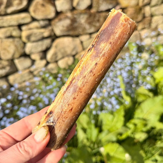 Ostrich marrow bone