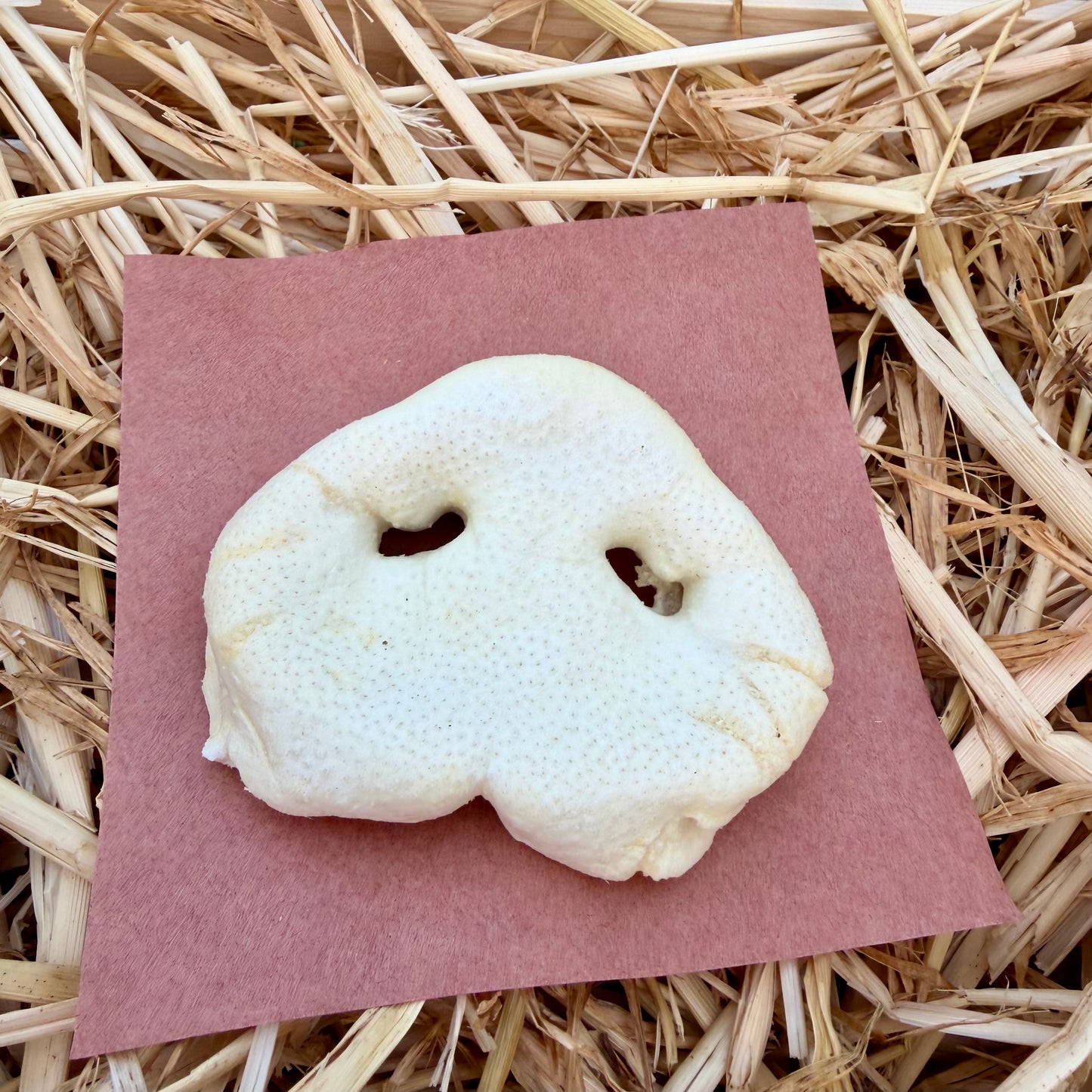 Puffed Pig Snout
