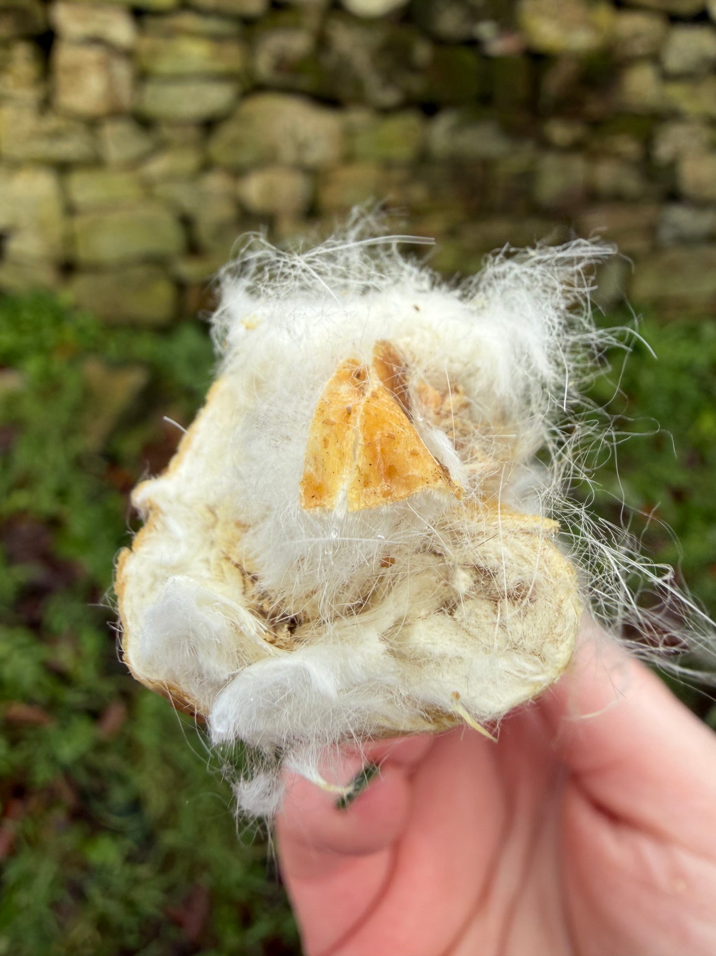 Rabbit Skin Roll (Fur on) 15cm