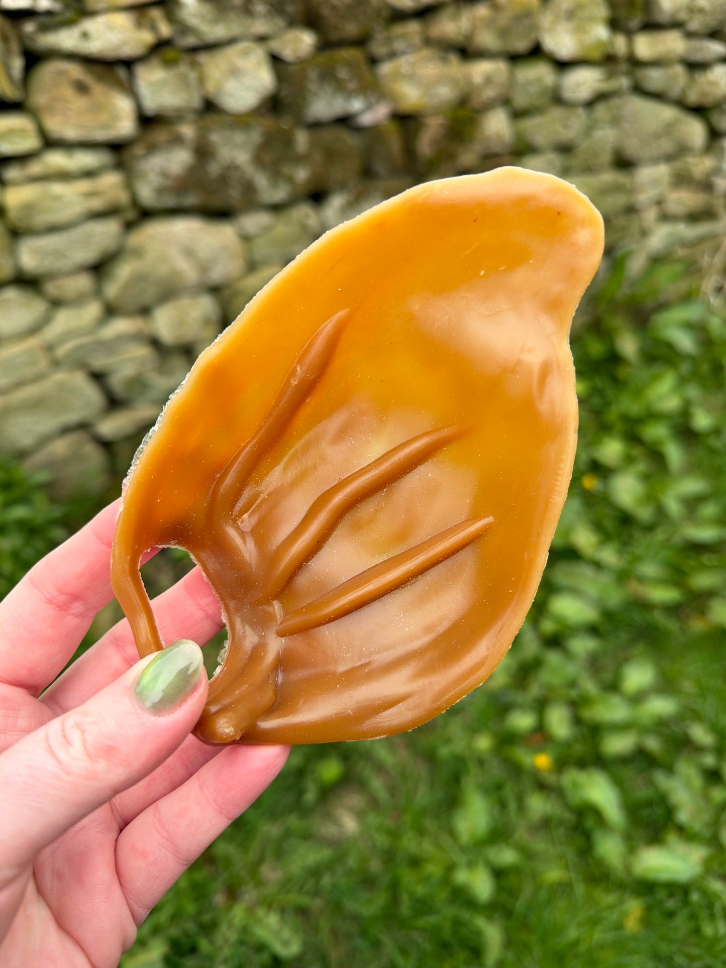 Veggie 'Pigs Ears'