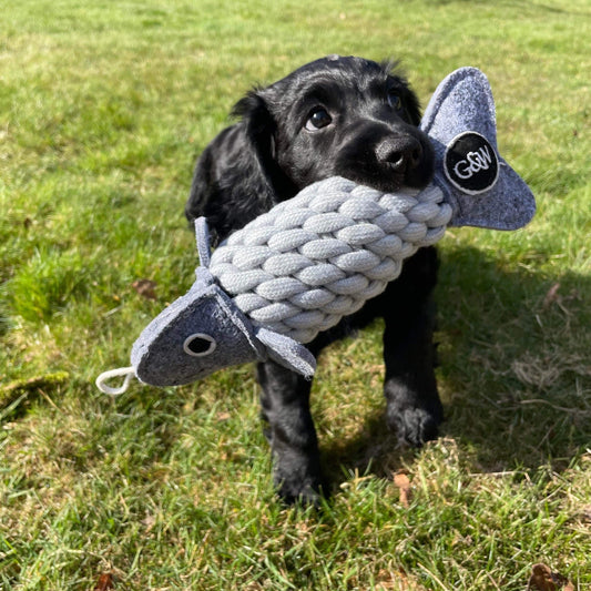 Roger the Ropefish eco toy