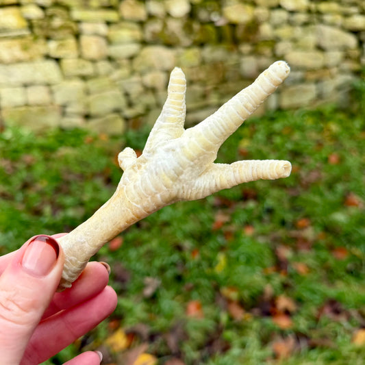 Puffed Chicken Feet
