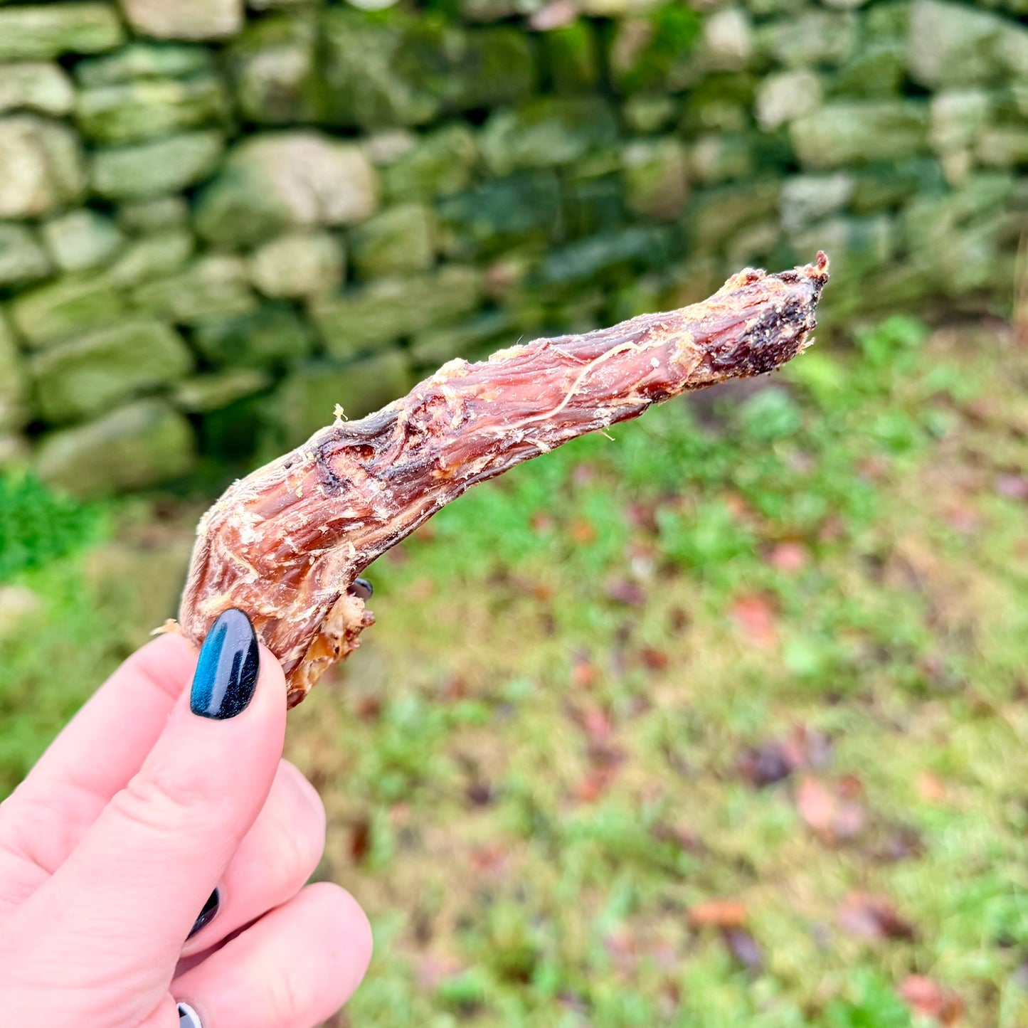 Chicken neck