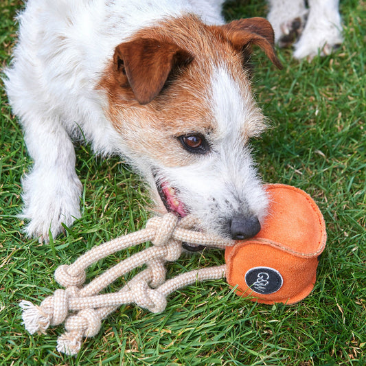 Sid the Squid eco toy
