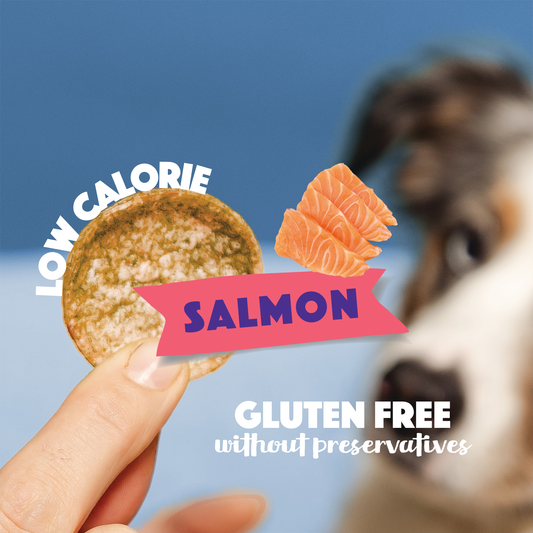Salmon Dog Crisps