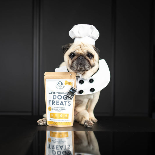 Make-Your-Own Dog Treats |Cheese & Super Seaweed