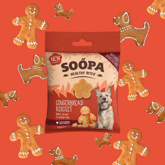 Gingerbread Biscuit Dog Treats : Single Pack