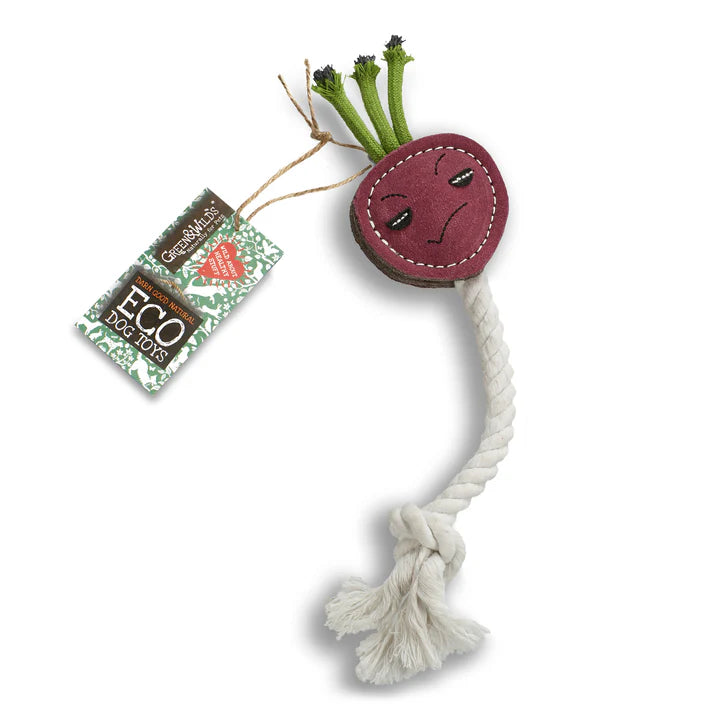 Ruby radish eco toy