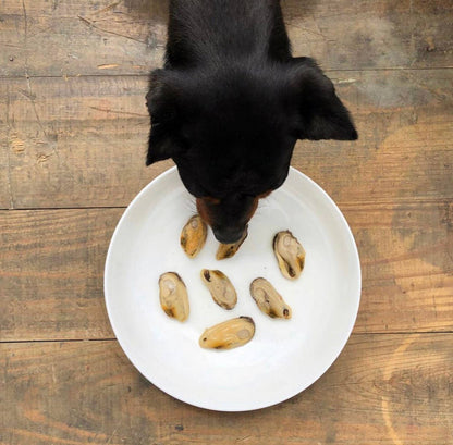 Green-lipped mussel for dogs