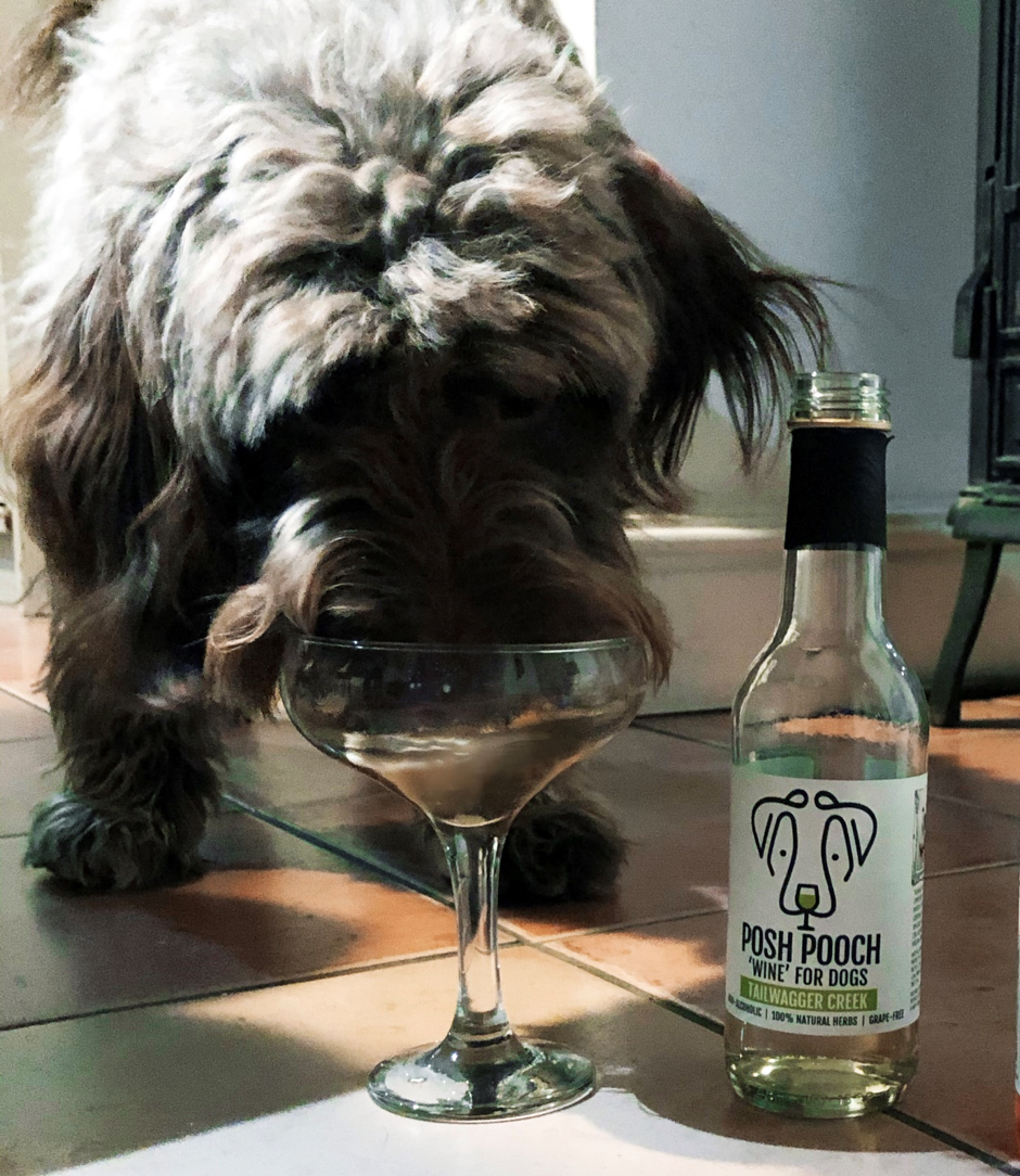Posh Pooch Dog 'White Wine'