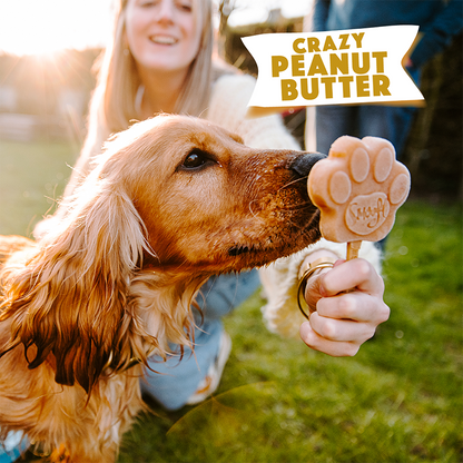 Peanut Butter Dog Ices (makes 10)