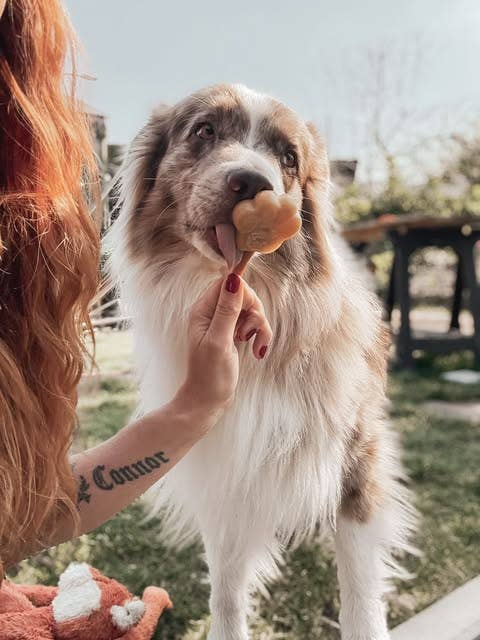 Peanut Butter Dog Ices (makes 10)
