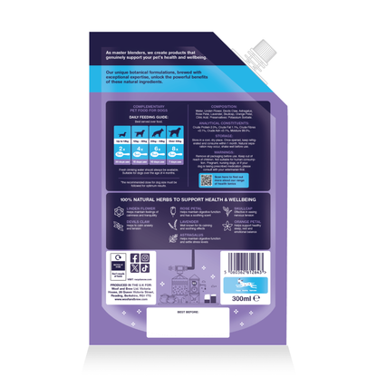 Anxious Hound for Nervous & Stressed Dogs