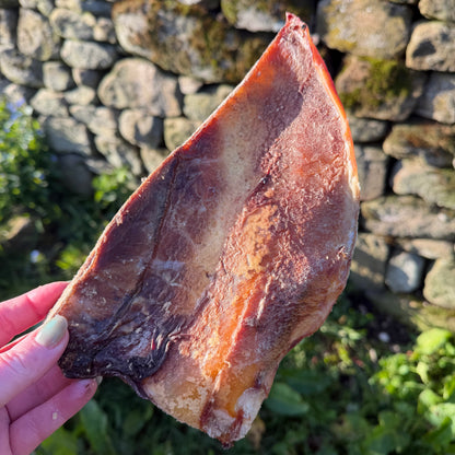 'Moon Bone' Beef Cartilage