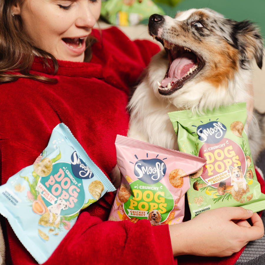 Salmon Oil & Algae Dog Pops