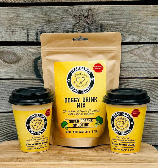 DIY Doggy Drinks - Starbarks Shakes Eggnog