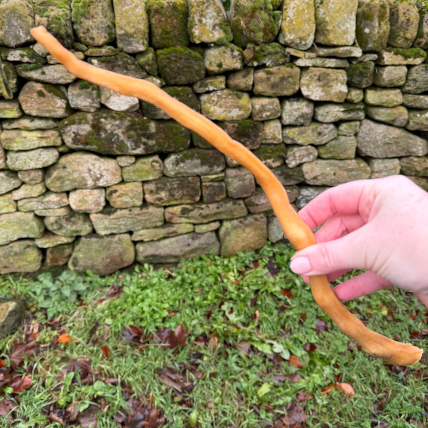Buffalo Tail 30cm