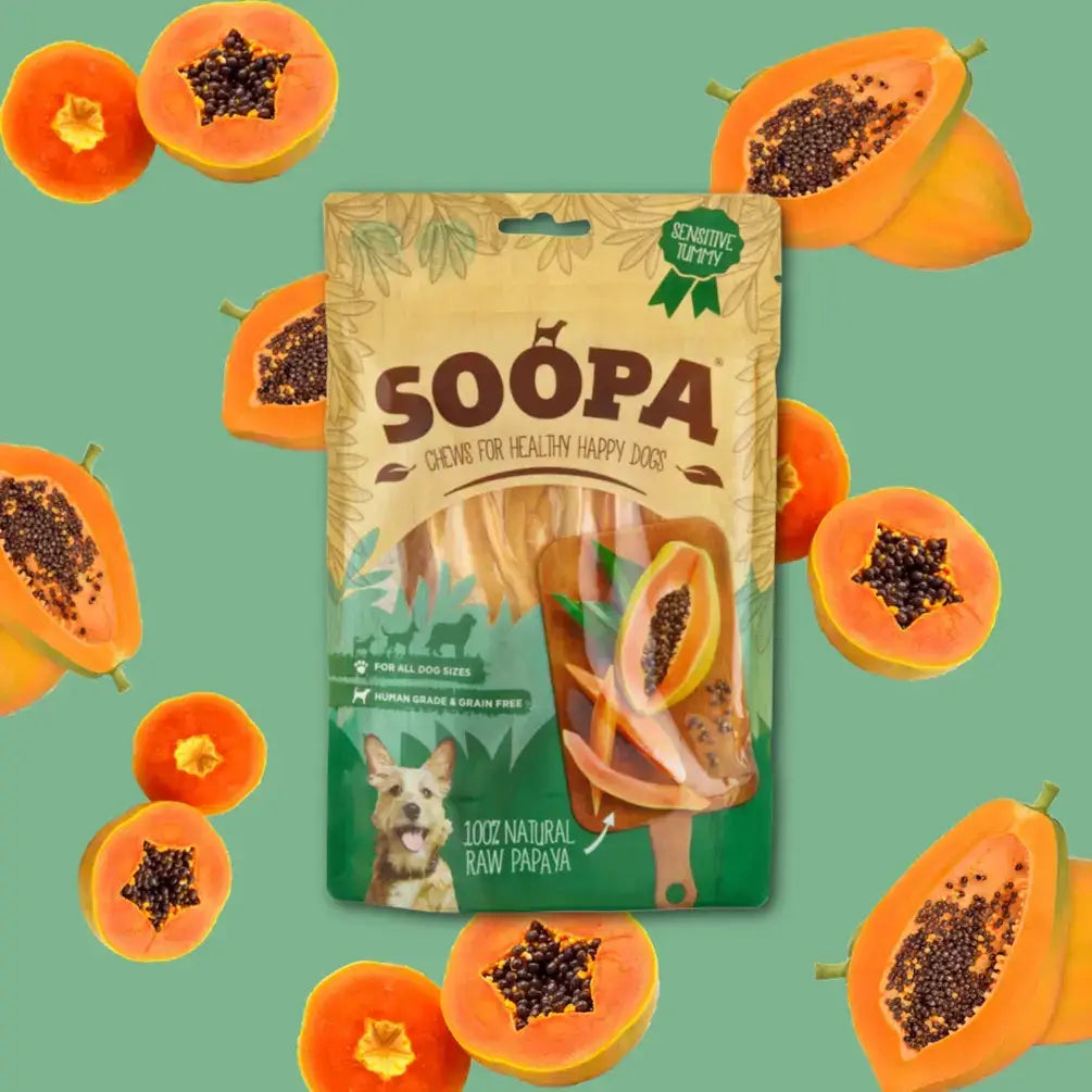 Natural Papaya Dog Chews: Single Pack