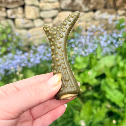 Veggie filled antler