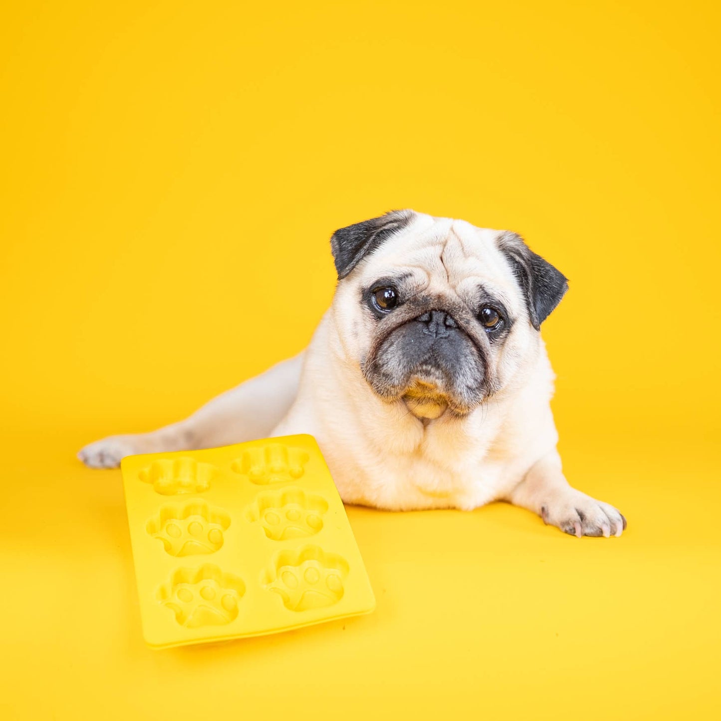 Silicone treat mold | 2 pack