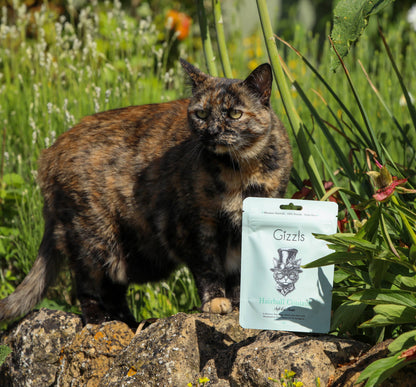 Hairball Control Soft Cat Treats