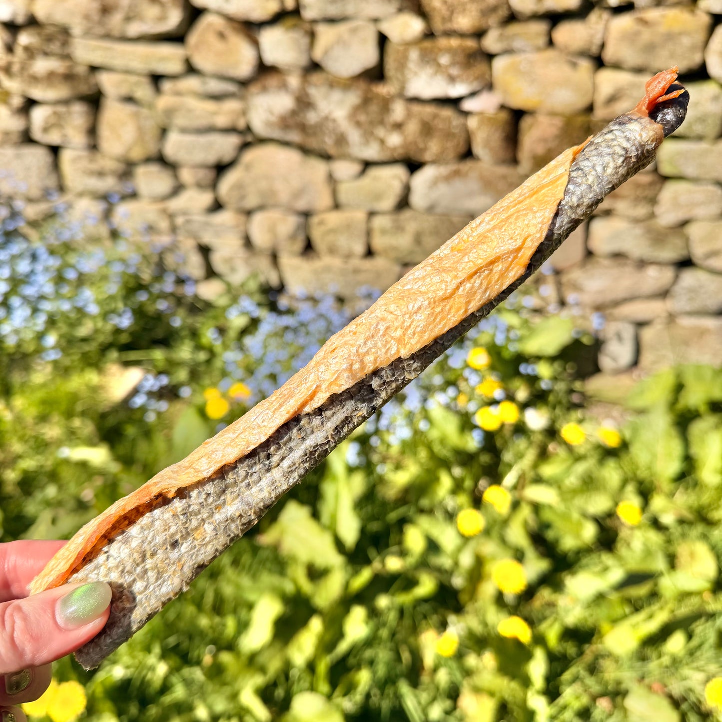 Salmon skin rolls