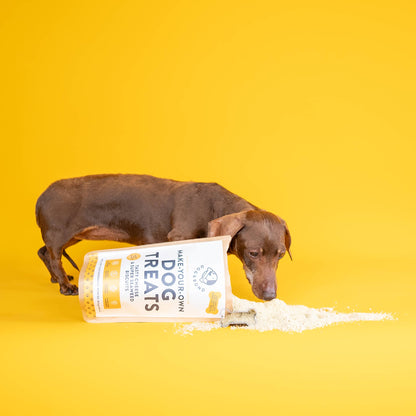 Make-Your-Own Dog Treats |Cheese & Super Seaweed