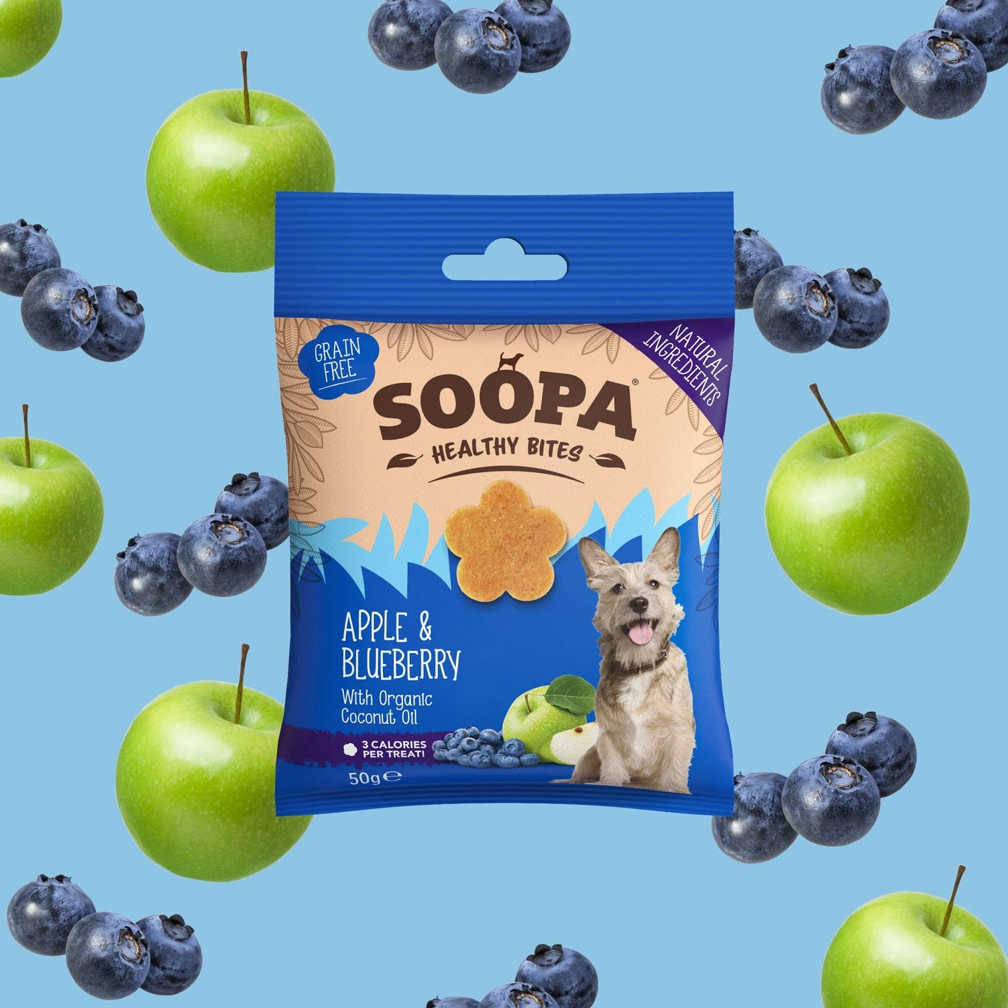 Apple & Blueberry Dog Treats