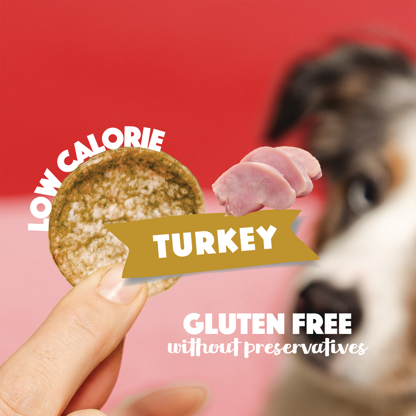 Turkey Dog Crisps