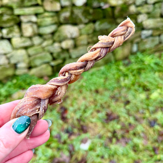 Buffalo Pizzle Braids