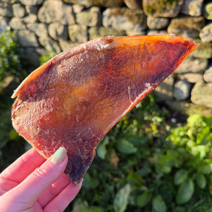 'Moon Bone' Beef Cartilage