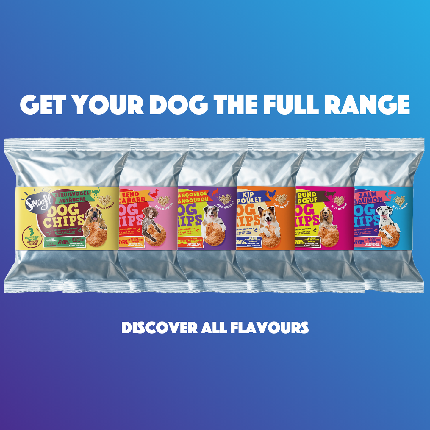 Salmon Dog Crisps