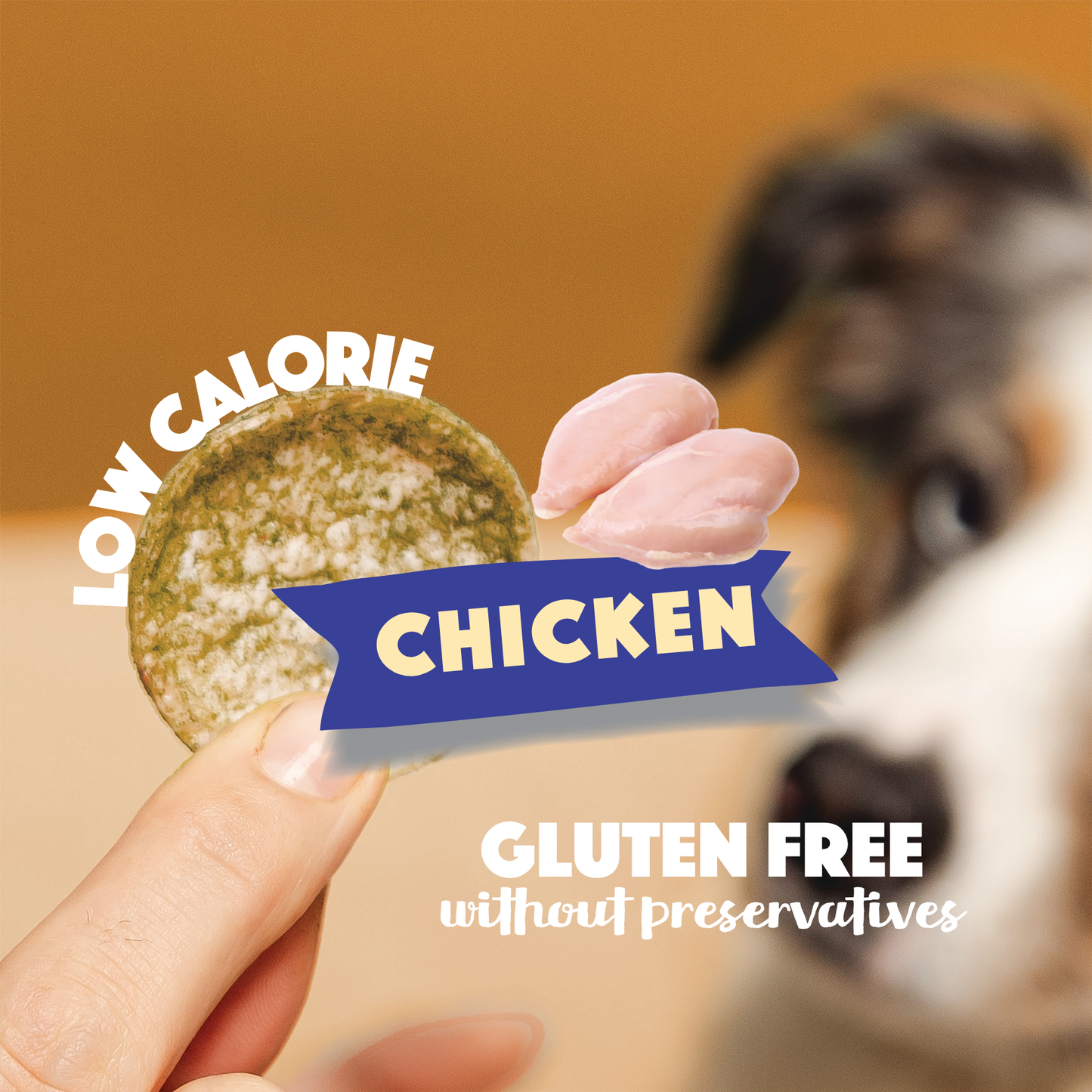 Chicken Dog Crisps