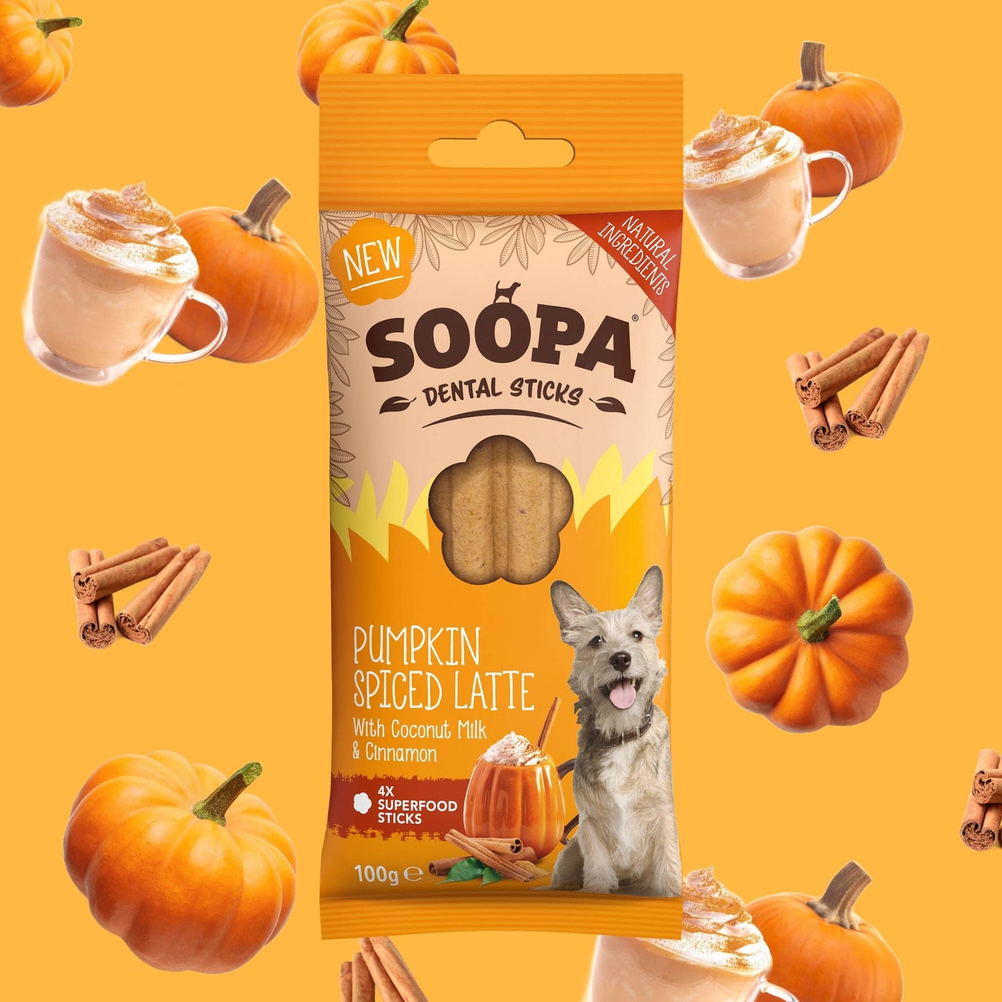 Pumpkin Spiced Latte Dog Dental Sticks: Single Pack