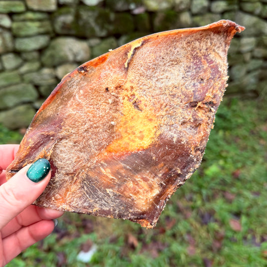 'Moon Bone' Beef Cartilage