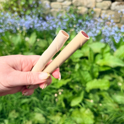 Veggie filled tube twists