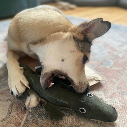 Colin the crocodile eco toy