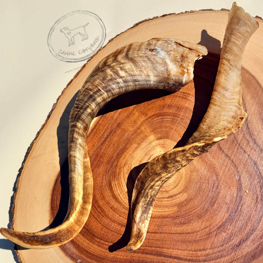 Goat horn